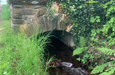 Burg Aue- Ferienwohnungen Erzglück - Familien - im Grünen - zentral - Foto 41