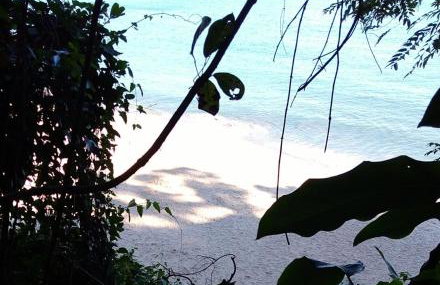 Paraíso de Toque Toque Grande - Foto 11