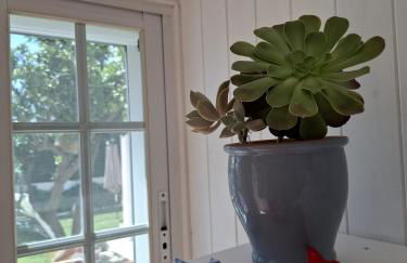 Casinha do Chico - Foto 56