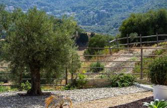 APICULTEUR - Foto 60