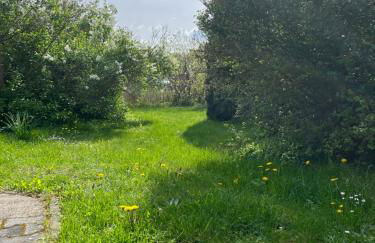 Ferienwohnung ‘Storchennest’ - Foto 10