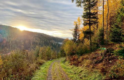 Apartment-Chalet Panorama - Foto 52