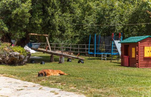 Agriturismo San Basilio - Foto 148