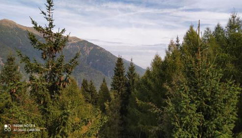 Appartamento Marilleva1400 Veria1 - Foto 2