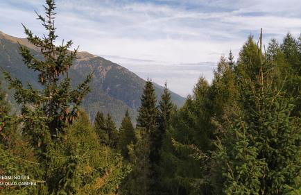 Appartamento Marilleva1400 Veria1 - Foto 2