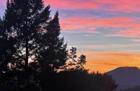 Il Bosco Guest House Subiaco - Foto 20