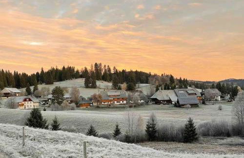 Helle gemütliche Ferienwohnung in Schwarzwaldhof - Foto 19