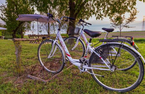 all'ombra del Bagolaro - Photo 12