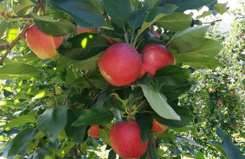 Ansitz Grustdorf - Foto 15