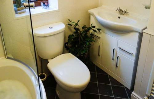 The Wilderness - Foto 17