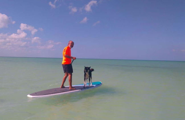 Paddleboard Tour in Holbox - Photo 7