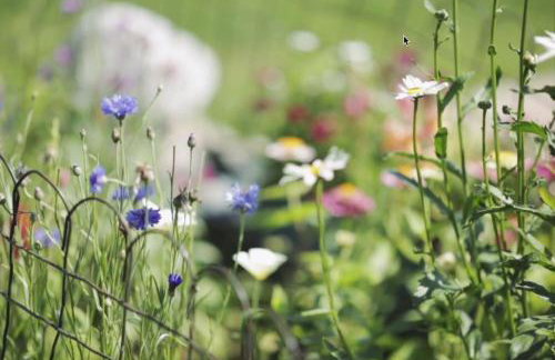 Riverside Cabin - Foto 34