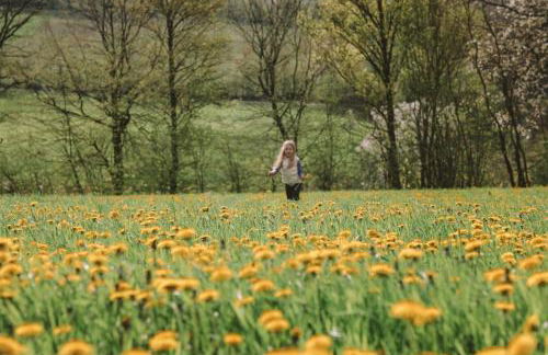 Birkenhof - Ferienhof, Landcafe und Rösterei - Photo 40