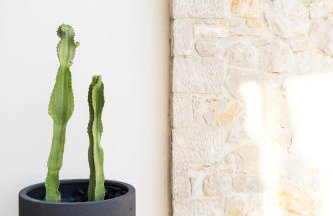 Anassia Villas - Foto 14