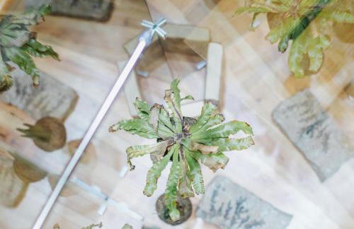 Casa Luís de Camões - Boutique & Literary House - Foto 14