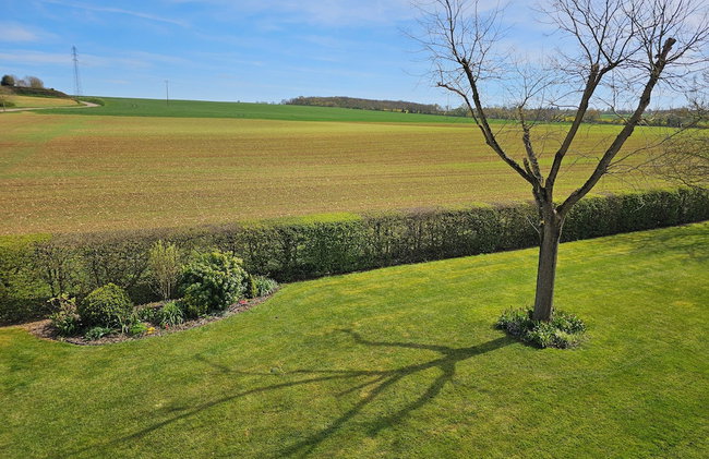 Château de Ribourdin - Photo 31