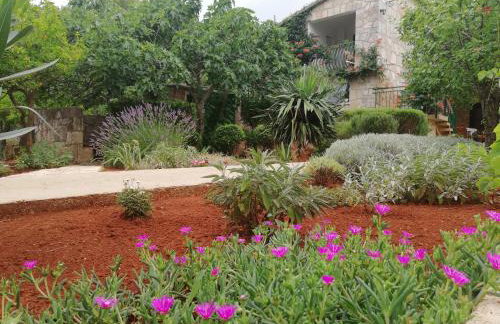 Apartments Basina - Foto 36