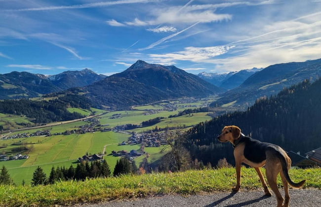 Vacation Home in Flachau - Foto 32