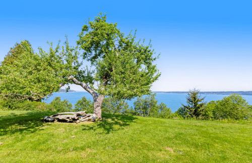 Marty's Place - Foto 36