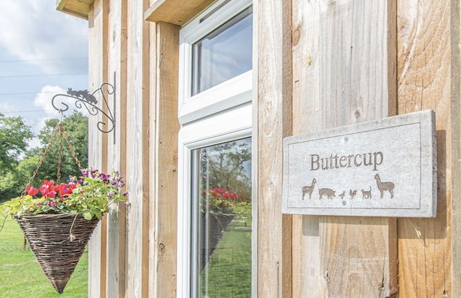 Dartmoor Reach Alpaca Farm - Foto 48