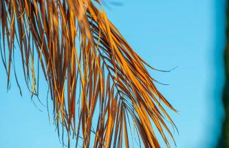 Sun and Sky - Foto 50