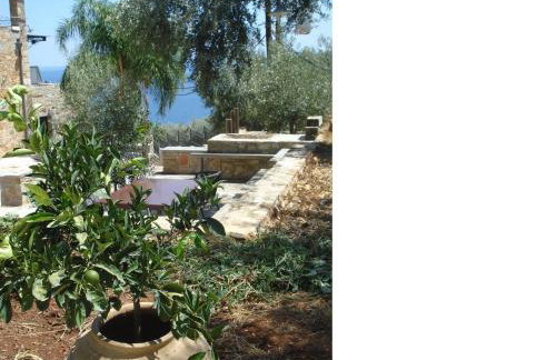 Athina EcoFarm - Foto 27