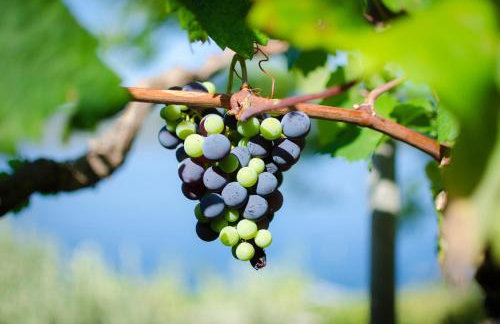 Sunset Apartments - Foto 70