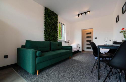 Pokoje Na Winklu - Foto 39