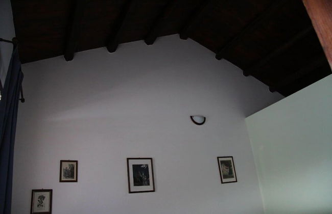 Il Campetto Country House - Photo 15