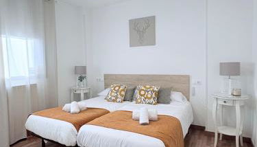 Mi trocito de Sabiñanigo, wifi y garaje - Foto 5