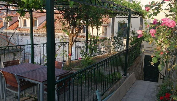 Terraço/pátio interior