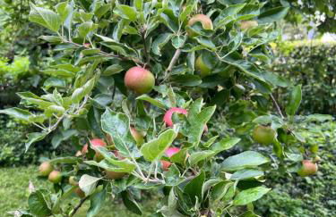 NEW Spacious House with large garden - Foto 57