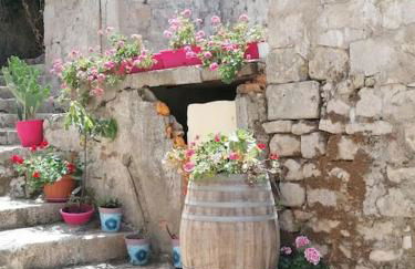 Casina Olympya - Foto 13