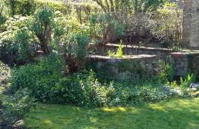 L'atypique du buisson de la gariole - Foto 49