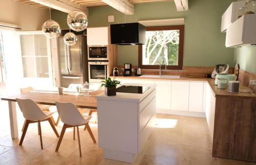 superb prestigious mas with pool in the countryside of caumont sur durance, close to avignon, sleeps 8 - Foto 4