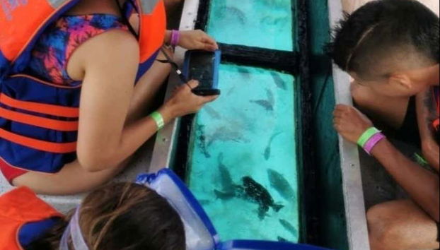 Barco con fondo de cristal