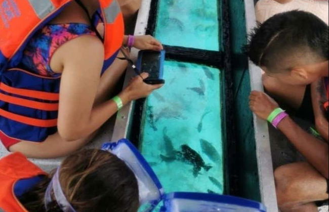 Paseo en barco con fondo de cristal - Foto 3