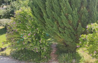 Gîte Chanay 80 m2 Tournus 2 chambres - Foto 23