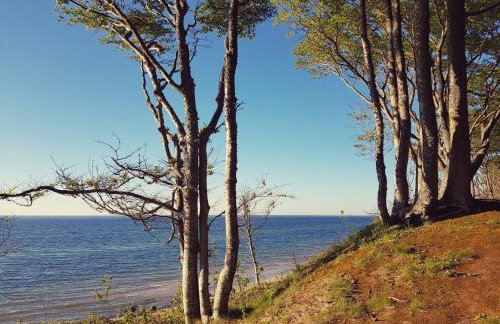 Pauza Spacja Apartamenty - Foto 41