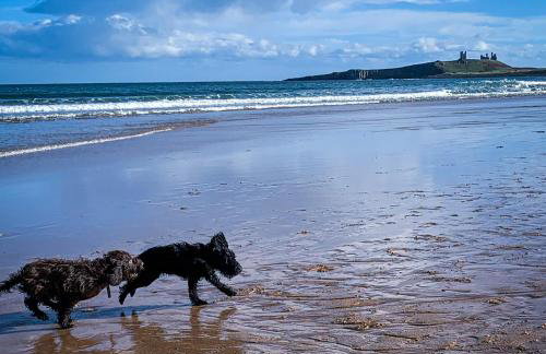 Pebble Cottage - Tranquil stone cottage in Rock conservation area - Foto 16