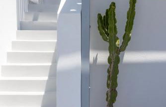 Aegean colors Tinos - Foto 32