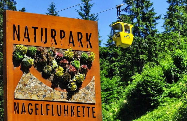 Fewo "schneerosenblüte", Oberstaufen-steibis - Foto 13