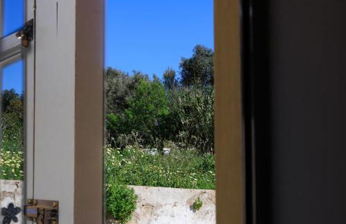 Casinha da Raposeira - Foto 5