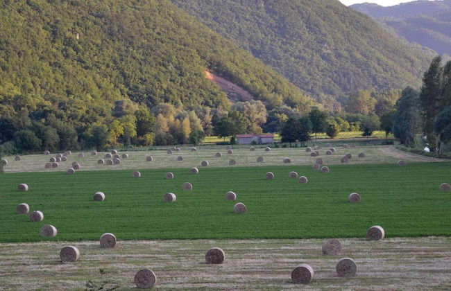 Agriturismo Sant'Erasmo - Foto 36