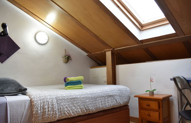 Golondrinas de la Alhambra - Foto 24