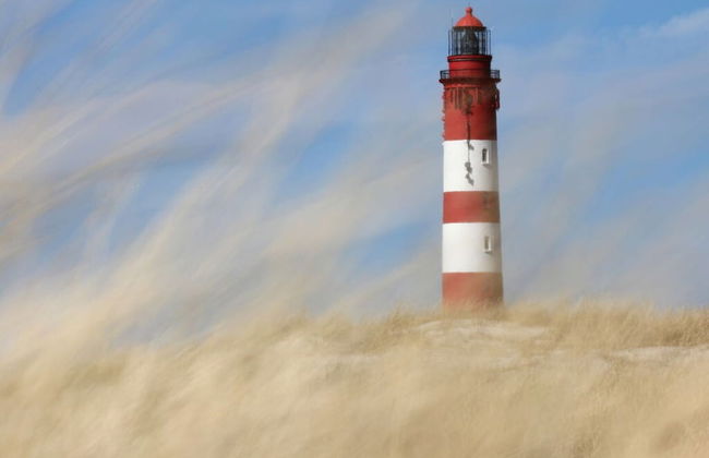 Holiday Home Villa Piep - Foto 10