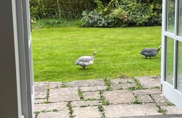 The Billiard Room - Cosy Country Retreat - Foto 9