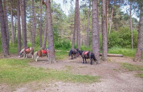 Stunning Home In Andon With Kitchen - Foto 39