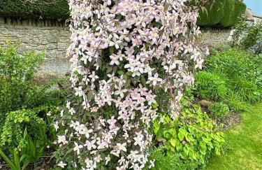 Acorn Cottage - Foto 68