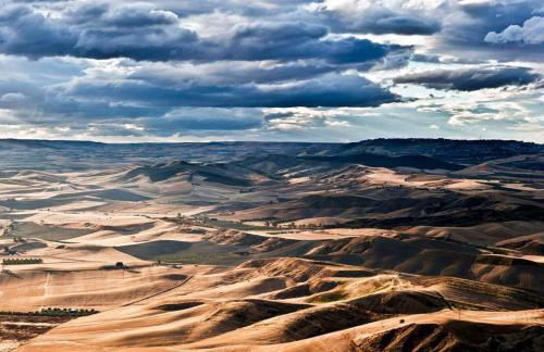 Milleunastella - Photo 28